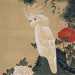 伊藤若冲展— 《鹦鹉牡丹图》 - 每日环球展览- iMuseum