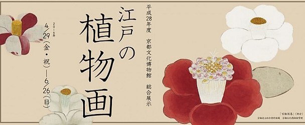 江户的植物画 每日环球展览 Imuseum